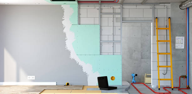 Best Residential Mold Inspection & Testing  in Embreeville, TN