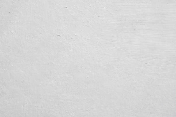 Best Mold Remediation for Healthcare Facilities  in Embreeville, TN